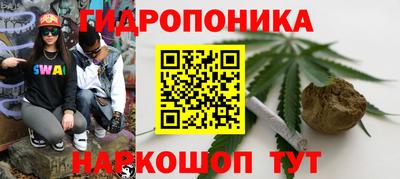 стаф Бугуруслан