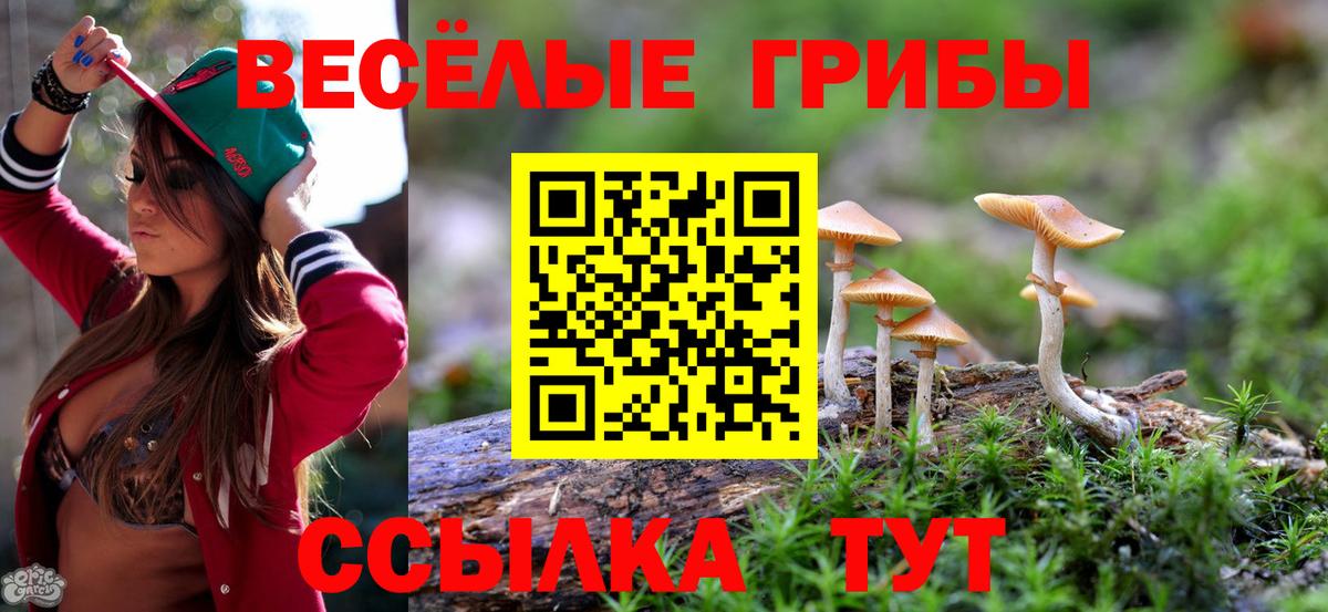Рыбинск  Псилоцибиновые грибы Magic Shrooms  Вход с VPN 
